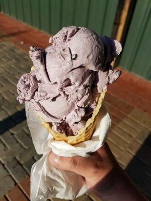 Blueberry in a waffle cone. Dissapointing.