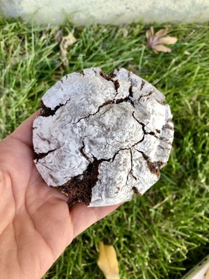 Chocolate crinkle