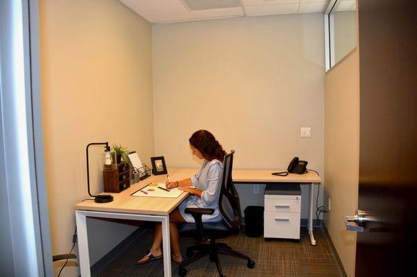 Private office Interior