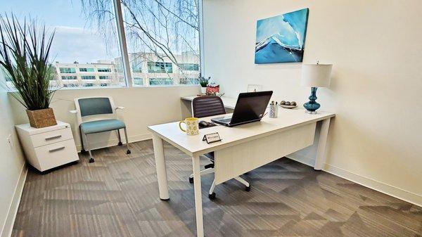 Private window office at Office Evolution Hillsboro