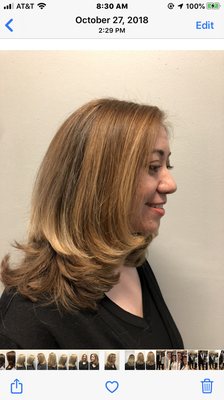 Color,highlights , with a long layered cut !
By Debbie