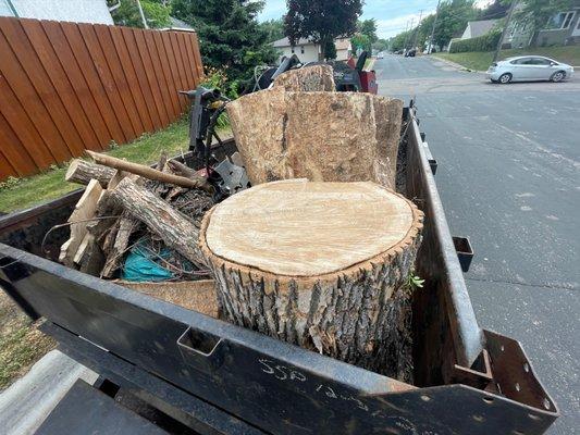 tree stump