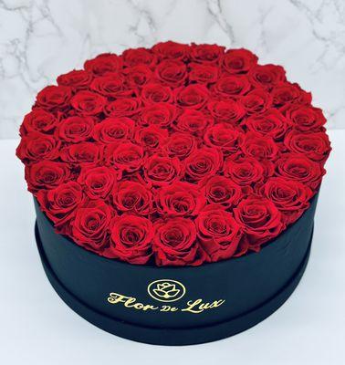 Jumbo Round Box - Preserved Roses