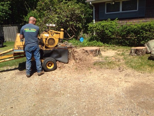 Grinding a stump