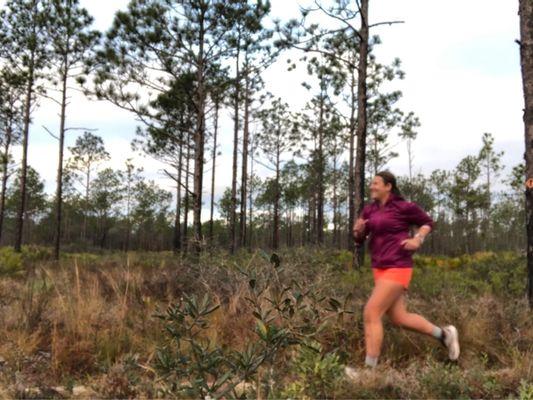 Low vegetation which makes it a beautiful trail run