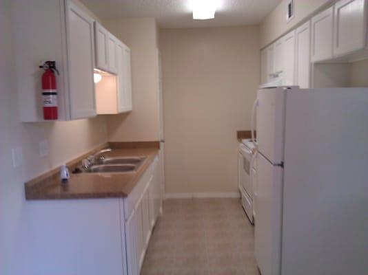 kitchen of renovated apartment