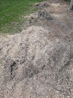 3 Medium Sized trees stumps ground down.