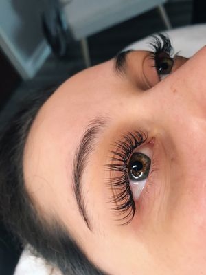 Classic Lashes