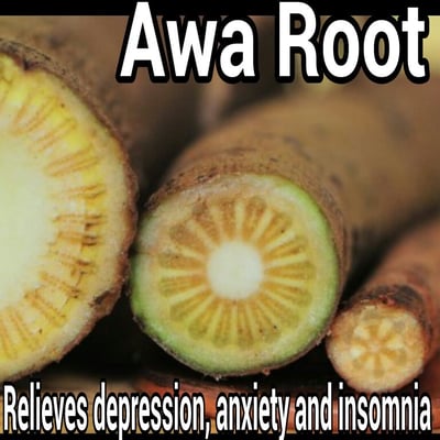 Kava uses