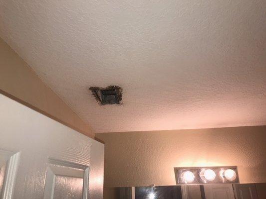 This is the bathroom vent, where you can clearly see mold creeping out