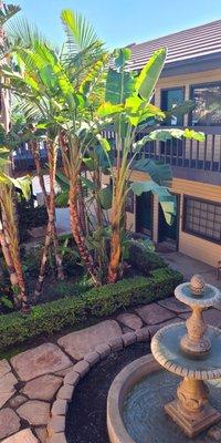 Clinic courtyard & fountain