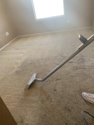 Carpet Cleaning