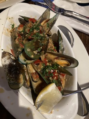 New Zealand mussels - appetizer from specials menu