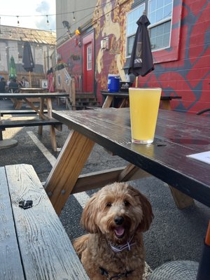 Dog friendly patio out back