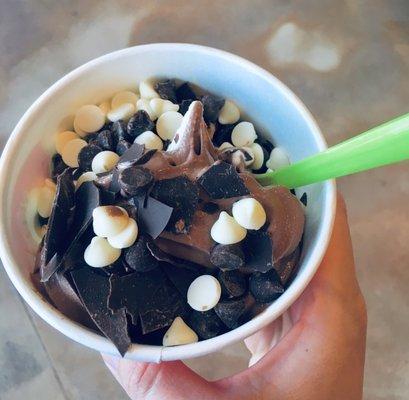 Chocolate frozen yogurt with chocolate toppings!