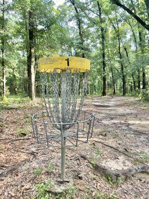 Disc Golf in the Woods