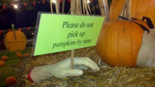 Be careful how you pick up those pumpkins!