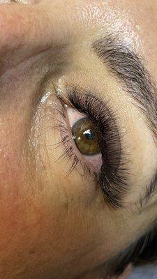 Hybrid Lashes