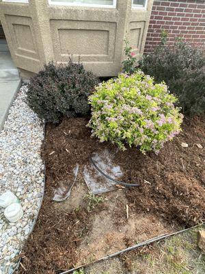 The landscaping paper that doesn't cover the entire flower bed.