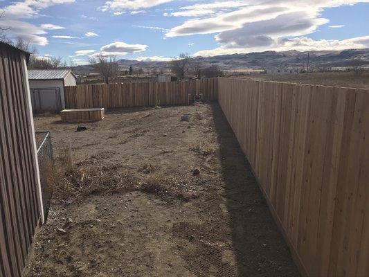 cedar fence