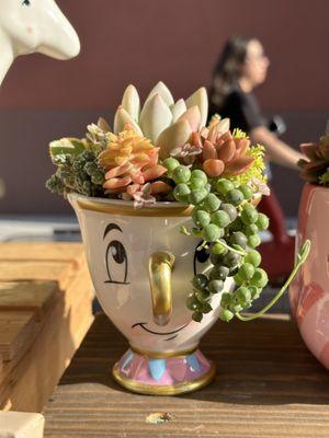 Chip Succulent Arrangement