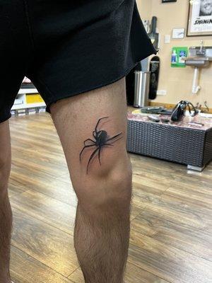 Realistic Spider Tattoo