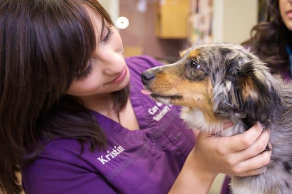 Care & Comfort Veterinary Hospital