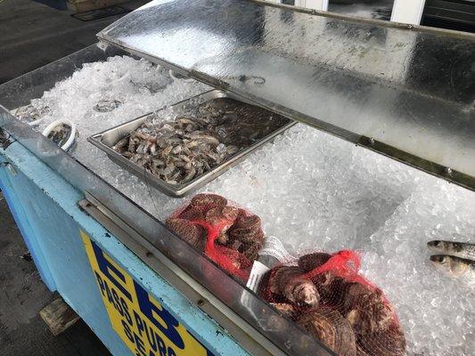 Fresh seafood on ice