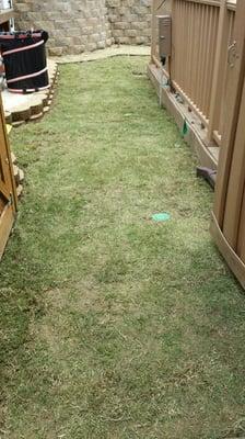 Call us for your new lawn today!