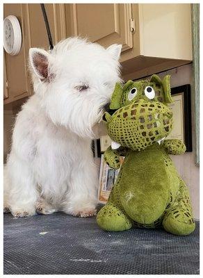 Kissing this lizard after my grooming!