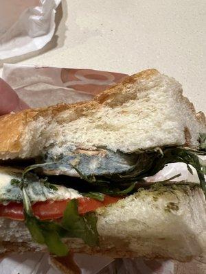 Mold on sandwich