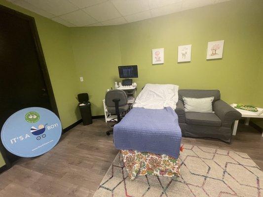 The bed and computer for sonogram filled with side chair and sofa