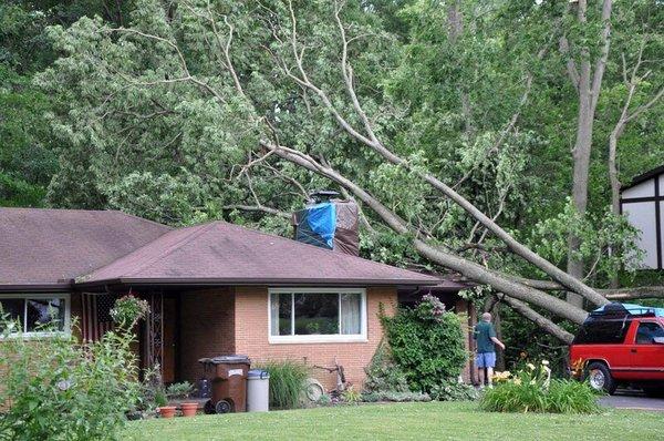 We handle Wind Damage Insurance Claim