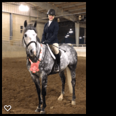 Ironhorse rider and their horse at an HJEO show