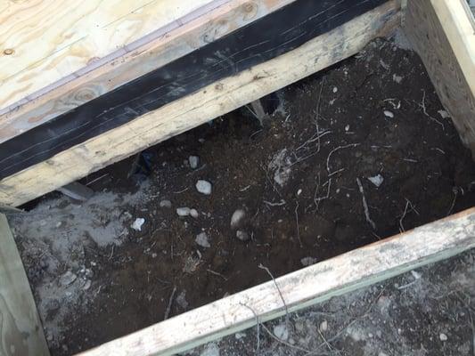 The 4ft crawl space he made with untreated wood