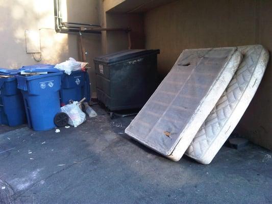 these mattresses moved in over 6 weeks ago and they are still here!