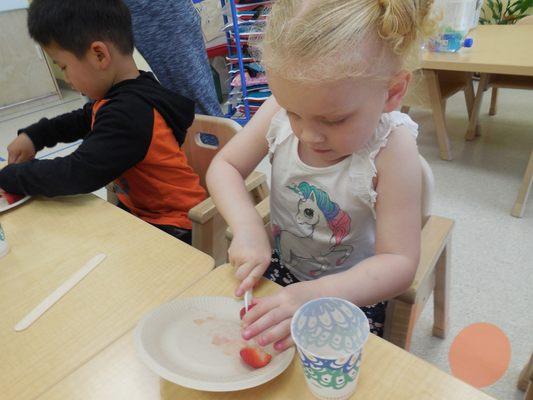 Making Fruit Salad