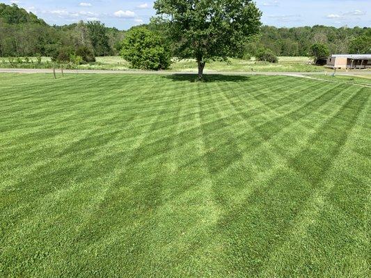 Double C Lawncare