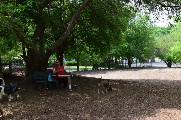 Medway Dog Park