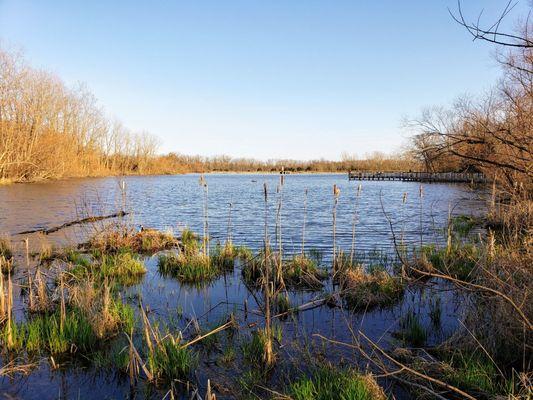 Cedar Lake at Carriage Hill Metropark