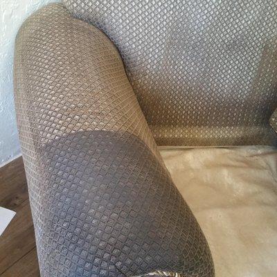 Upholstery Cleaning Glendale AZ