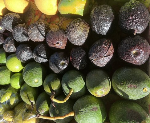 Avocado's and grapefruit