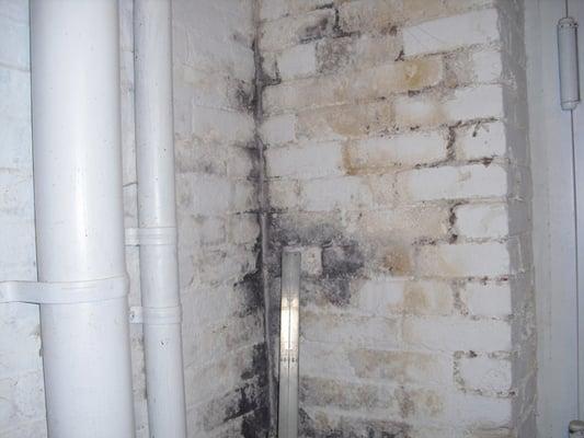 Do your walls look like this? Please don't hesitate to contact us! Help us help you!