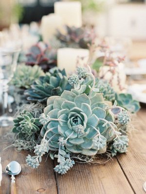 Arizona Wedding Tables