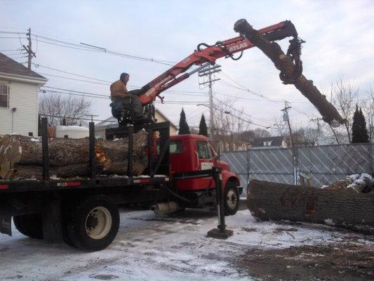 Arbor Care Tree Service