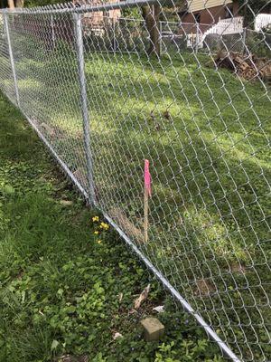 Survey stake of property line at mid point of fence... also a huge gap under their fence construction