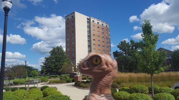 Bob the Raptor Says, "Assistance Mammals live here."