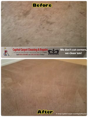 This carpet cleaning in Brentwood, CA looks great! Not just carpet cleaning but restorative cleaning by Capital Carpet Cleaning & Repairs.