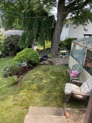 Sod installation brings new life to a cozy backyard