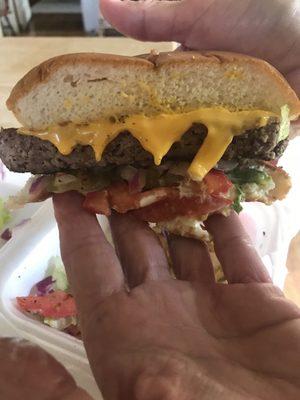 Big Mo Burger